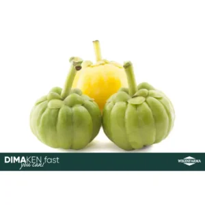 garcinia-diete-dimagranti